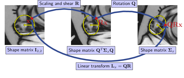 ../_images/normalizingTransform.png